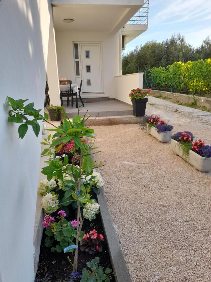 Apartmani Sara Bibinje Luaran gambar
