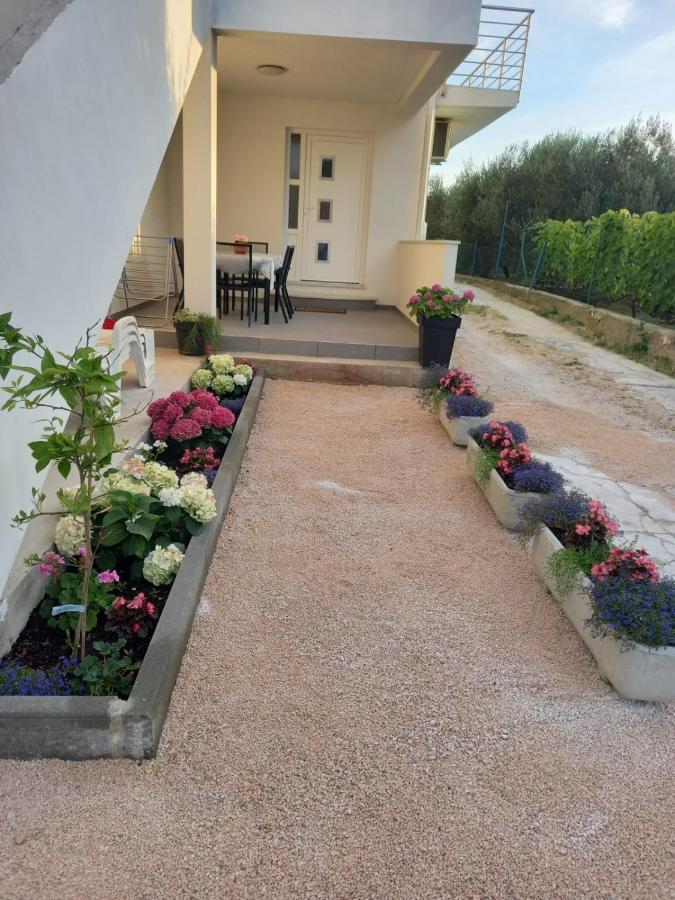 Apartmani Sara Bibinje Luaran gambar