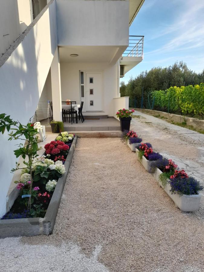 Apartmani Sara Bibinje Luaran gambar
